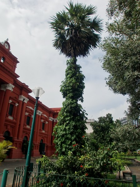 India Trip - July 2010 140.jpg